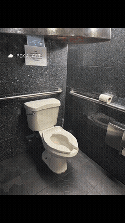 A Bathroom With A Toilet And A Sign That Says Pika Art On It GIF