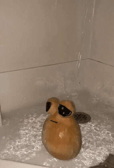 A Bathtub With A Drain And A Bottle Of Shampoo GIF