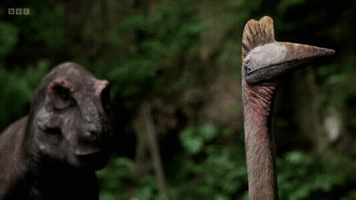 A Bbc Logo Is On The Bottom Right Of A Dinosaur GIF