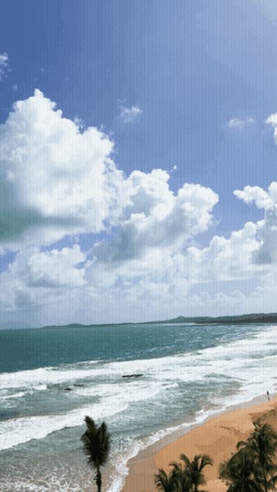 A Beach With Palm Trees And Waves Coming In GIF