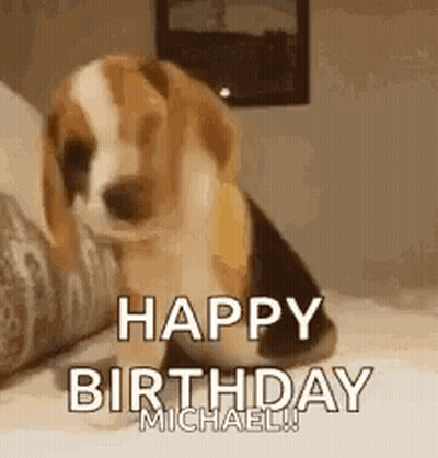 A Beagle Puppy Is Sitting On A Bed And Saying `` Happy Birthday Michael '' . GIF