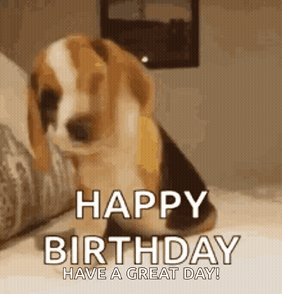 A Beagle Puppy Is Sitting On A Bed And Says `` Happy Birthday Have A Great Day '' . GIF