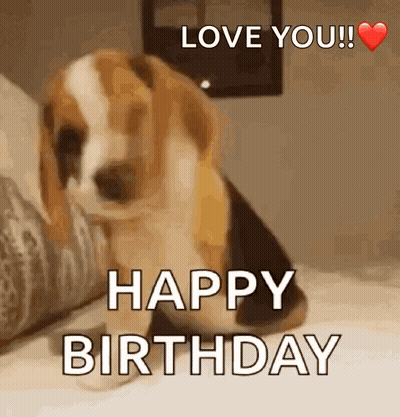 A Beagle Puppy Is Sitting On A Bed With The Words `` Love You ! Happy Birthday '' Written On It . GIF