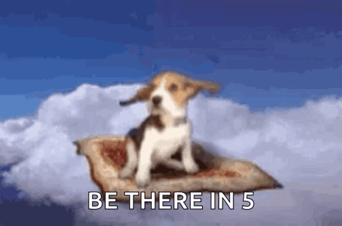 A Beagle Puppy Is Sitting On A Flying Carpet In The Sky With The Words Be There In 5 Below It GIF