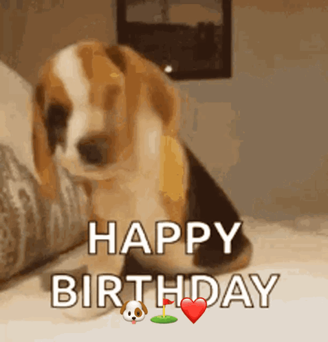 A Beagle Puppy Sitting On A Bed With The Words Happy Birthday Written On It GIF