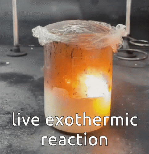 A Beaker Of Liquid With The Words Live Exothermal Reaction Written On It GIF