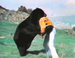A Bear Body Slam A Man GIF
