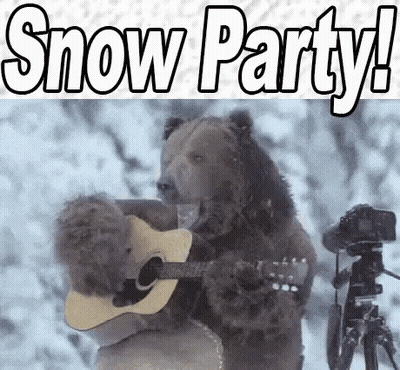 A Bear Is Playing A Guitar In The Snow While A Camera Records It . GIF