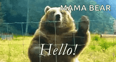 A Bear Is Standing Behind A Fence Waving Its Paw . GIF