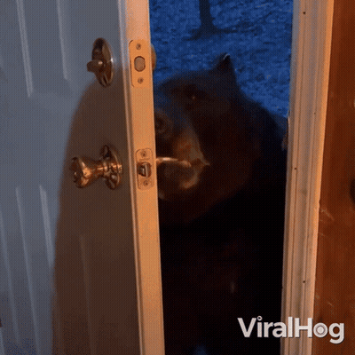 A Bear Is Standing In A Doorway With The Words Viralhog Written On The Bottom GIF