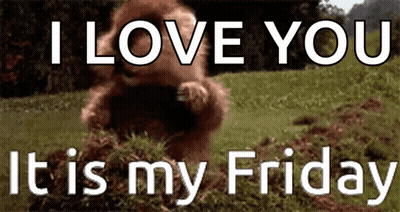 A Bear Is Standing In The Grass With The Words `` I Love You It Is My Friday '' Written Above It . GIF