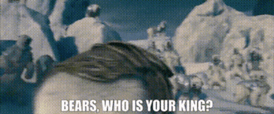 A Bear Is Standing In The Snow And Says Bears Who Is Your King GIF