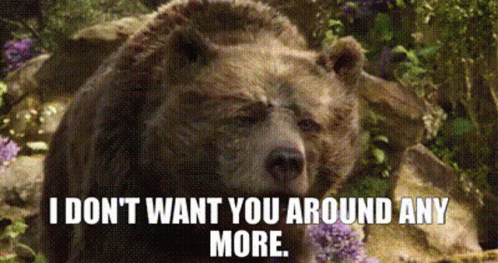 A Bear Is Standing In The Woods With Flowers And Says `` I Don T Want You Around Any More '' . GIF