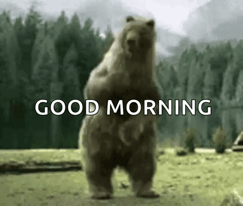 A Bear Is Standing On Its Hind Legs In A Field With The Words `` Good Morning '' Written On It . GIF