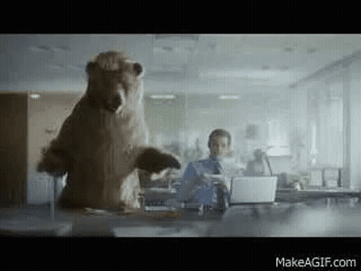 A Bear Is Standing On Its Hind Legs In Front Of A Man Using A Laptop Computer . GIF