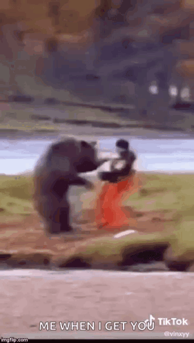 A Bear Is Standing On Its Hind Legs Next To A Man . GIF