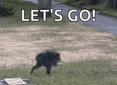A Bear Is Walking In A Field With The Words Let 'S Go Written On It . GIF