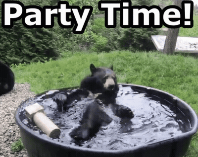 A Bear Laying In A Tub Of Water With The Words Party Time GIF
