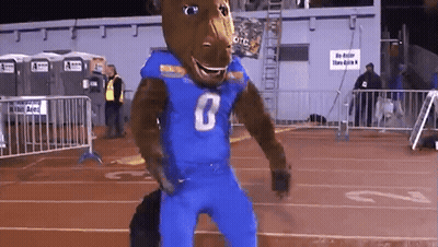 A Bear Mascot Wearing A Blue Jersey With The Number 8 On It GIF