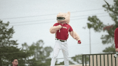A Bear Mascot Wearing A Red Shirt That Says Oklahoma GIF
