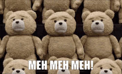 A Bear Saying Meh GIF