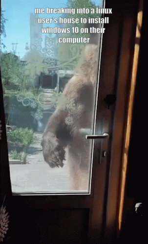 A Bear Standing In A Doorway With A Caption That Says Me Breaking Into A Linux User 'S House GIF