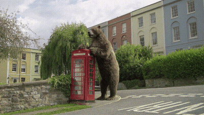 A Bear Standing On Its Hind Legs Next To A Red Phone Booth GIF