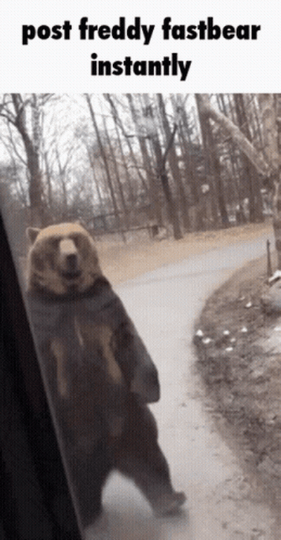 A Bear Standing On Its Hind Legs With The Caption Post Freddy Fast Bear Instantly GIF