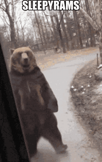 A Bear Standing On Its Hind Legs With The Words Sleepyrams Written Above It GIF