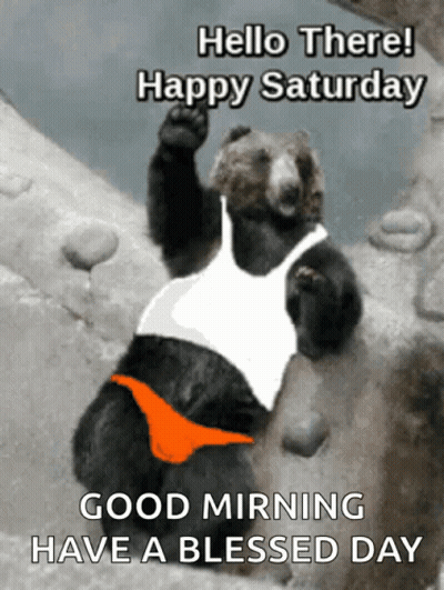 A Bear Wearing A White Tank Top And Orange Underwear Says Hello There Happy Saturday GIF
