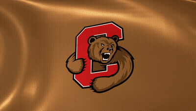 A Bear With A Letter C On Its Back GIF