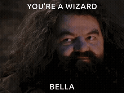 A Bearded Man With A Surprised Look On His Face And The Words You 'Re A Wizard Bella GIF