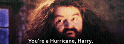 A Bearded Man With A Surprised Look On His Face Says You 'Re A Hurricane Harry GIF