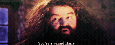 A Bearded Man With A Surprised Look On His Face Says " You 'Re A Wizard Harry " GIF