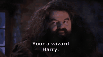 A Bearded Man With The Words Your A Wizard Harry GIF