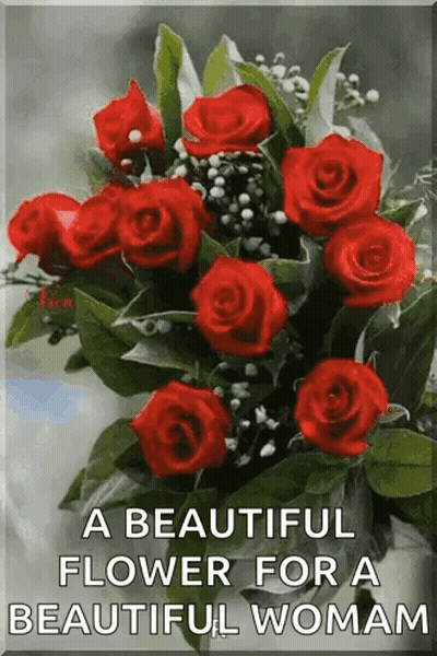 A Beautiful Flower For A Beautiful Woman Is A Bouquet Of Red Roses With Green Leaves . GIF