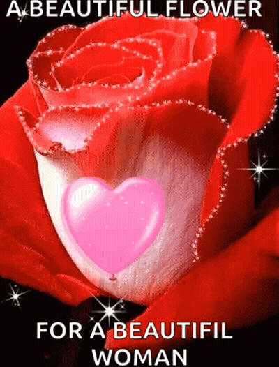 A Beautiful Flower For A Beautiful Woman Is A Red Rose With A Pink Heart In It . GIF