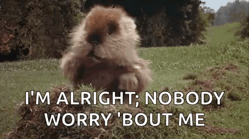 A Beaver Is Sitting In The Grass And Saying `` I 'M Alright , Nobody Worry Bout Me '' GIF