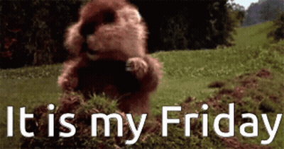 A Beaver Standing In The Grass With The Words " It Is My Friday " GIF
