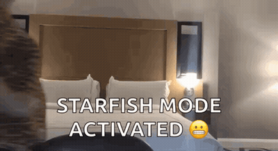 A Bedroom With A Bed And The Words Starfish Mode Activated Above It GIF