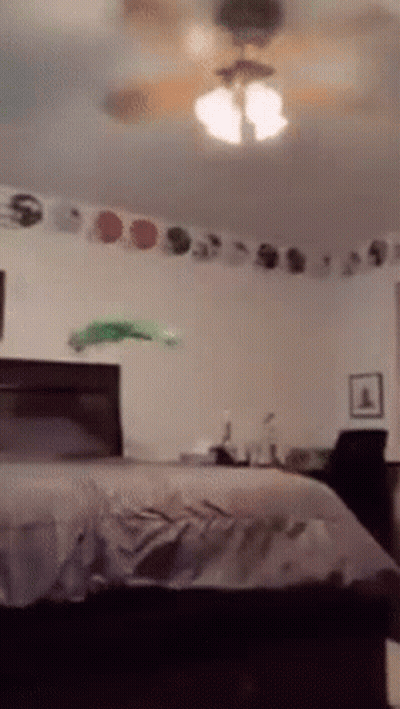 A Bedroom With A Ceiling Fan And A Bed . GIF