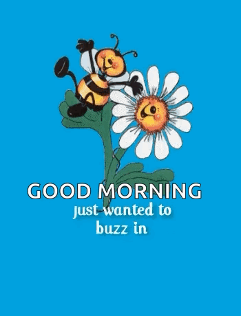 A Bee Is Flying Over A Flower With The Words `` Good Morning Just Wanted To Buzz In '' . GIF