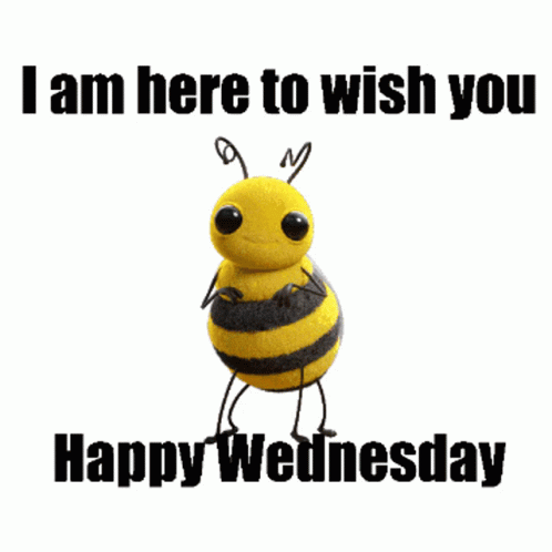 A Bee Says " I Am Here To Wish You Happy Wednesday " On A White Background GIF