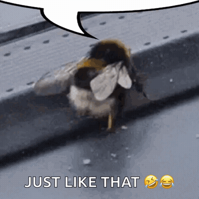 A Bee With A Speech Bubble Above It That Says Just Like That GIF