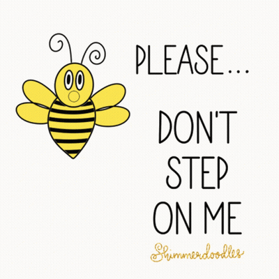 A Bee With The Words Please Don T Step On Me GIF