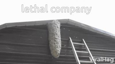 A Beehive On The Side Of A Building With The Words Lethal Company Written Above It GIF