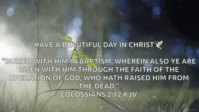 A Bible Verse From Colossians 2:12 Kjv Is Shown GIF