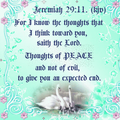 A Bible Verse From Jeremiah 29:11 Is Displayed On A Blue Background GIF