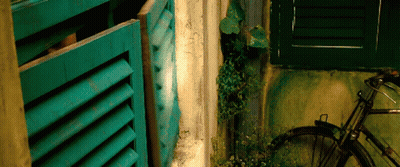 A Bicycle Is Leaning Against A Wall Next To A Green Shutter GIF