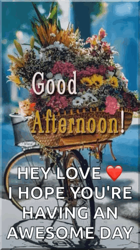 A Bicycle With A Basket Of Flowers In The Basket . GIF